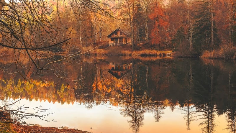 Tranquil Woods Retreat Cabin