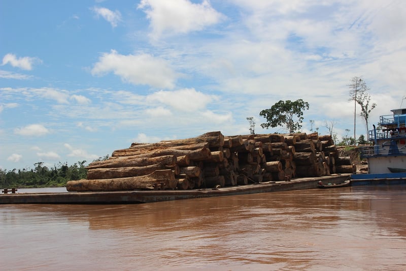 Treehouse Lodge, Amazon Rainforest